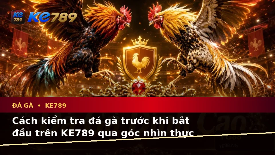 Cách kiểm tra đá gà trước khi bắt đầu trên KE789 qua góc nhìn thực tế