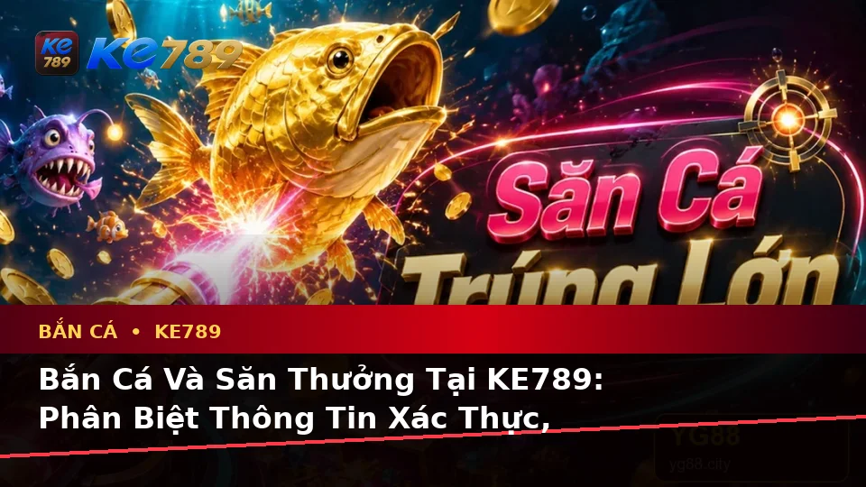 Bắn Cá Và Săn Thưởng Tại KE789: Phân Biệt Thông Tin Xác Thực, Quảng Cáo Và Kỳ Vọng Thực Tế Trên ke789pg.city