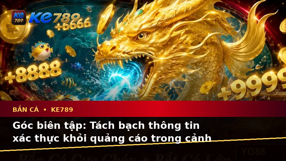 Bắn Cá Và Săn Thưởng Tại KE789: Phân Biệt Thông Tin Xác Thực, Quảng Cáo Và Kỳ Vọng Thực Tế Trên ke789pg.city