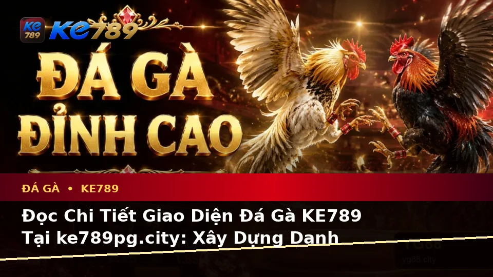 Đọc Chi Tiết Giao Diện Đá Gà KE789 Tại ke789pg.city: Xây Dựng Danh Sách Kiểm Tra Bảo Mật Tài Khoản Và Thiết Bị Qua Góc Kiểm Chứng Theo Tên Miền