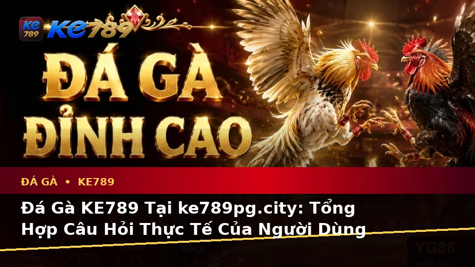 Đá Gà KE789 Tại ke789pg.city: Tổng Hợp Câu Hỏi Thực Tế Của Người Dùng Về Luật Và Quản Lý Phiên Chơi