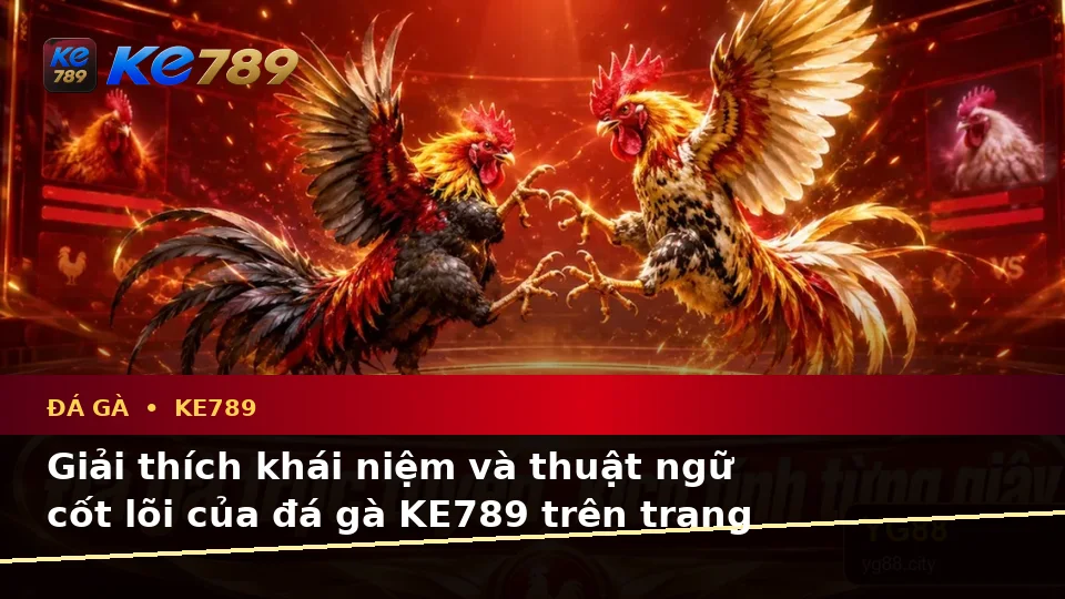 Thuật Ngữ Cốt Lõi Và Quản Lý Phiên Đá Gà KE789: Giải Thích Khái Niệm Trên Trang Chính Thức ke789pg.city