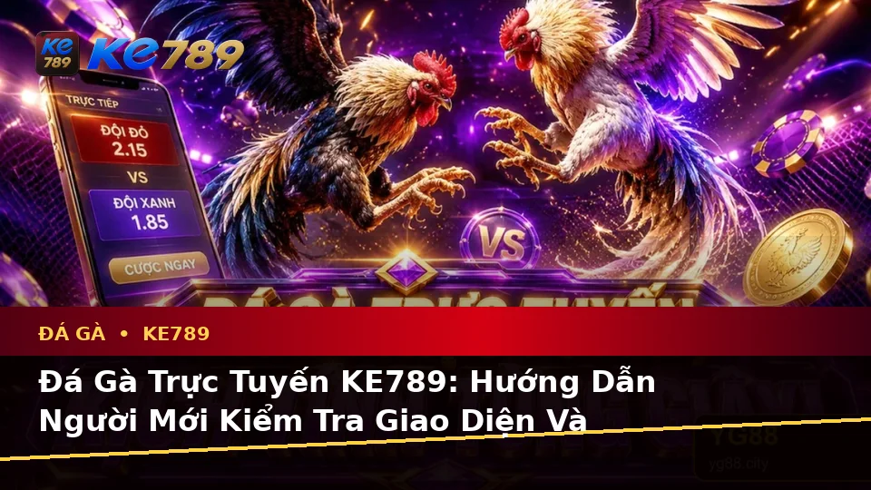 Đá Gà Trực Tuyến KE789: Hướng Dẫn Người Mới Kiểm Tra Giao Diện Và Thông Tin Phiên Chơi Trên ke789pg.city