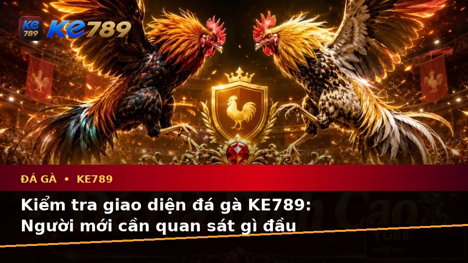 Đá Gà Trực Tuyến KE789: Hướng Dẫn Người Mới Kiểm Tra Giao Diện Và Thông Tin Phiên Chơi Trên ke789pg.city