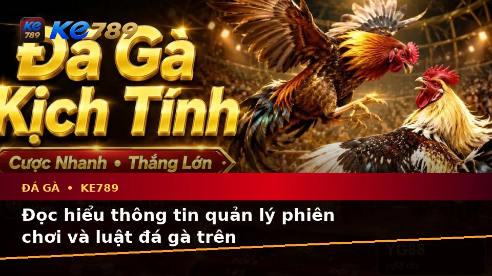 Đá Gà Trực Tuyến KE789: Hướng Dẫn Người Mới Kiểm Tra Giao Diện Và Thông Tin Phiên Chơi Trên ke789pg.city