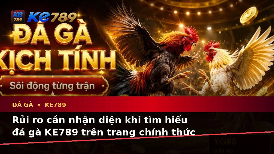 Đá Gà Trực Tuyến Và Quản Lý Phiên Chơi Tại KE789: Phân Tích Dữ Kiện, Rủi Ro Và Giới Hạn Ngân Sách – ke789pg.city