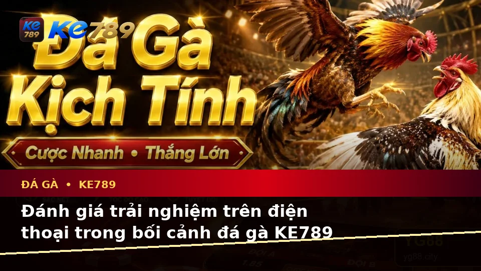 Đánh Giá Trải Nghiệm Đá Gà KE789 Trên Điện Thoại: Quản Lý Phiên Chơi Trực Tuyến Tại ke789pg.city
