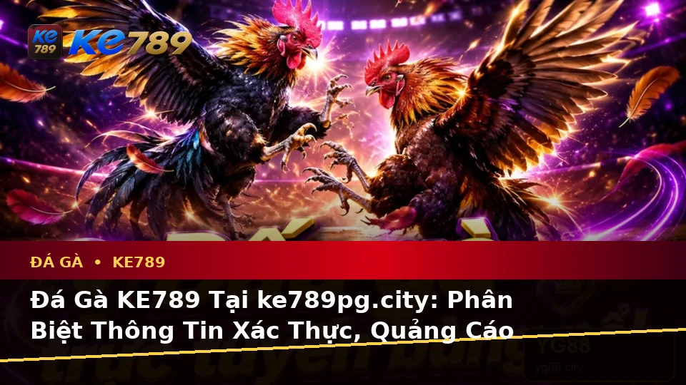 Đá Gà KE789 Tại ke789pg.city: Phân Biệt Thông Tin Xác Thực, Quảng Cáo Và Kỳ Vọng Thực Tế Khi Quản Lý Phiên Chơi