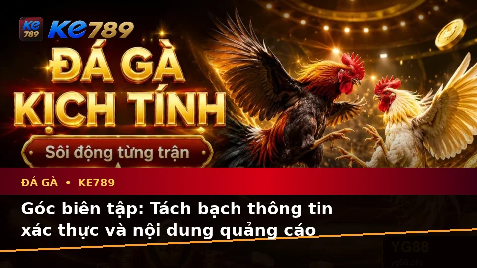Đá Gà KE789 Tại ke789pg.city: Phân Biệt Thông Tin Xác Thực, Quảng Cáo Và Kỳ Vọng Thực Tế Khi Quản Lý Phiên Chơi