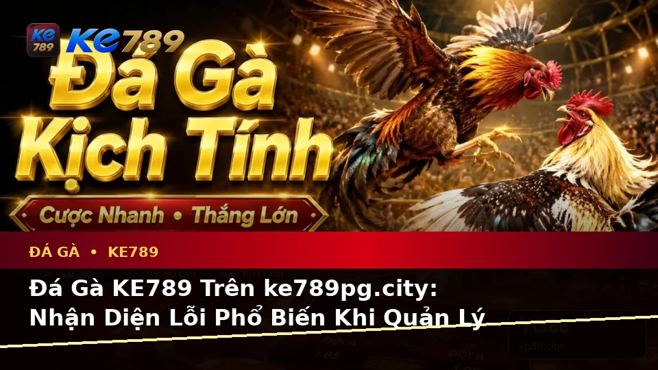 Đá Gà KE789 Trên ke789pg.city: Nhận Diện Lỗi Phổ Biến Khi Quản Lý Phiên Chơi Và Xử Lý Có Trách Nhiệm