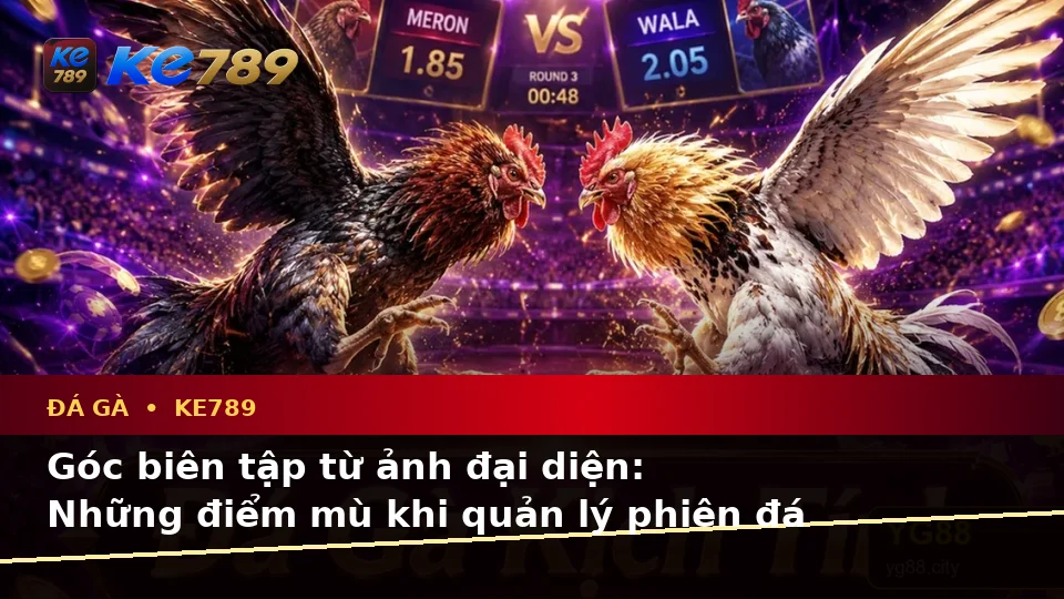 Đá Gà KE789 Trên ke789pg.city: Nhận Diện Lỗi Phổ Biến Khi Quản Lý Phiên Chơi Và Xử Lý Có Trách Nhiệm