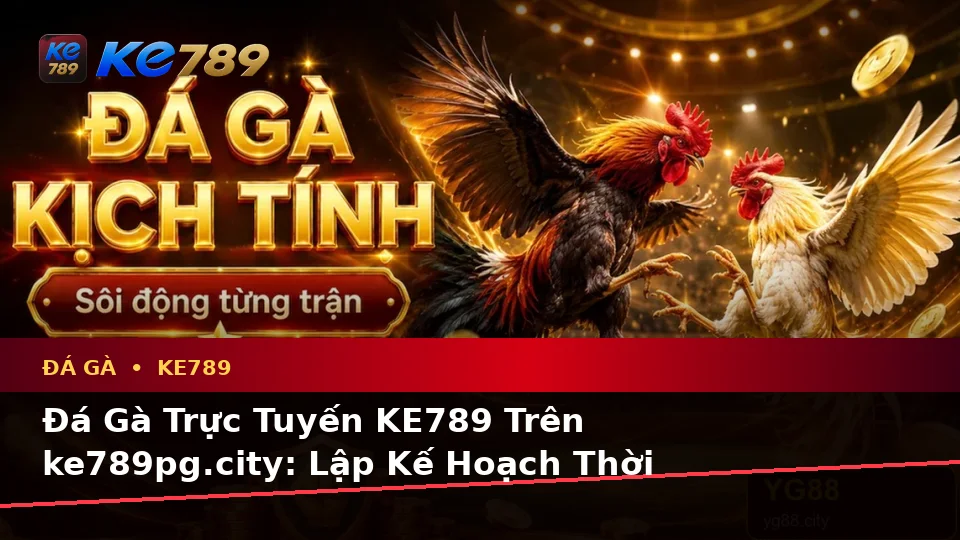 Đá Gà Trực Tuyến KE789 Trên ke789pg.city: Lập Kế Hoạch Thời Gian, Ngân Sách Và Lịch Sử Phiên Chơi