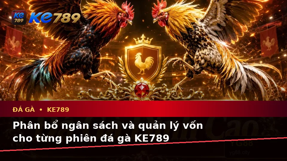 Đá Gà Trực Tuyến KE789 Trên ke789pg.city: Lập Kế Hoạch Thời Gian, Ngân Sách Và Lịch Sử Phiên Chơi
