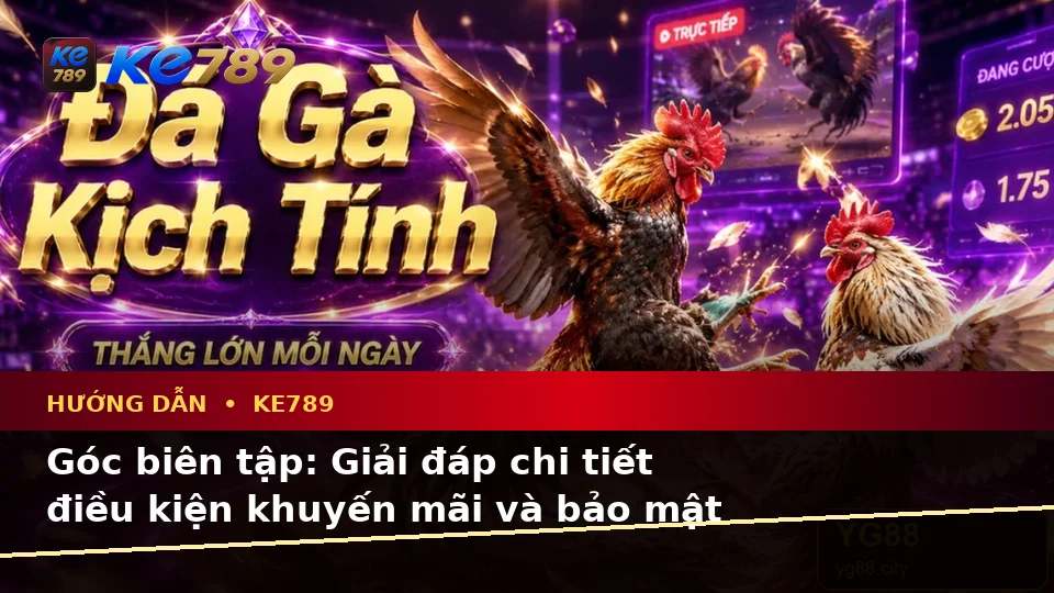 Tổng Hợp Câu Hỏi Thực Tế Về Tin Mới, Ưu Đãi Và Điều Kiện Khuyến Mãi KE789 Trên ke789pg.city
