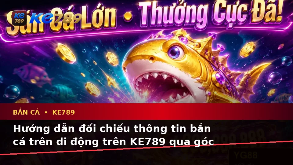 Hướng dẫn đối chiếu thông tin bắn cá trên di động trên KE789 qua góc nhìn thực tế
