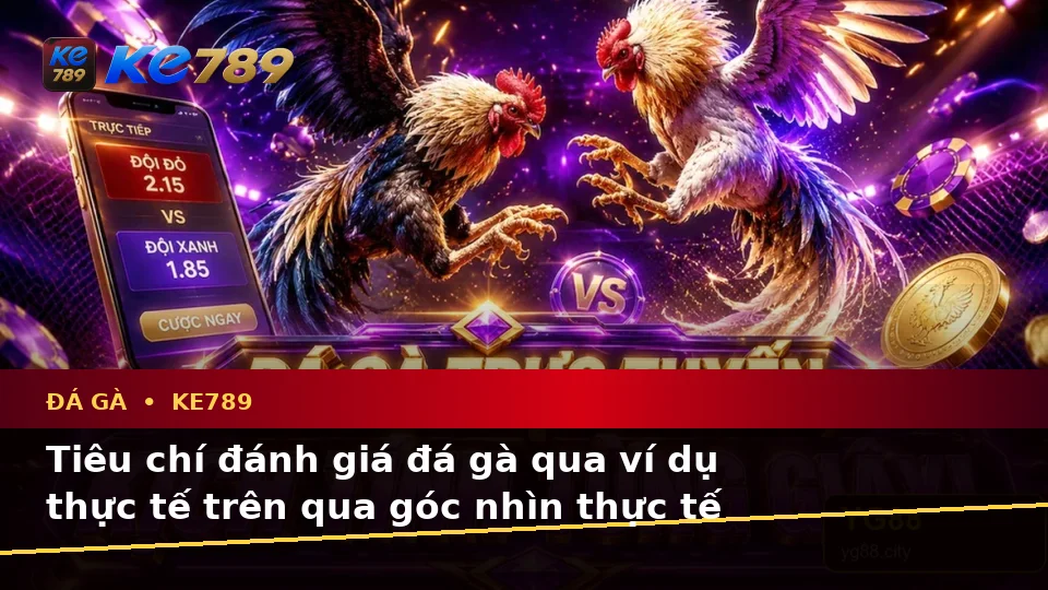 Tiêu chí đánh giá đá gà qua ví dụ thực tế trên qua góc nhìn thực tế — KE789 — Các lỗi thường gặp và cách xử lý